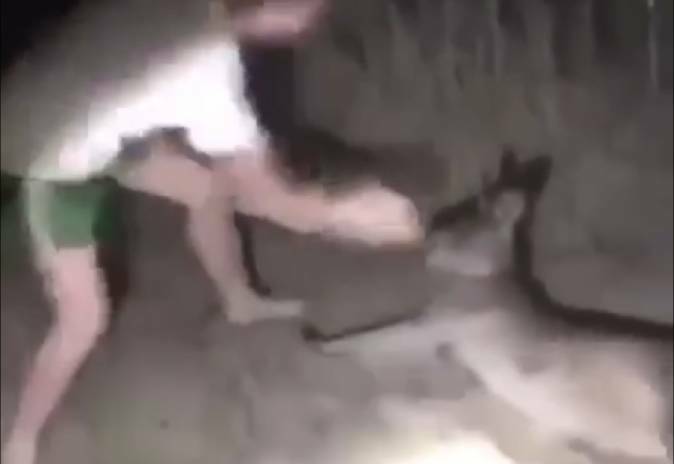 SCREENSHOT: The man is filmed punching an injured kangaroo. 