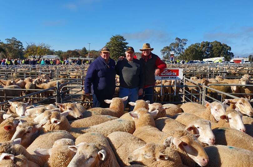 MAKING HISTORY: David Hill, of David Hill Livestock and Property, Albury, vendor Gary Mickan of Walla and livestock agent Steve Grantham of Elders Corowa celebrate the record prices. Picture: Supplied