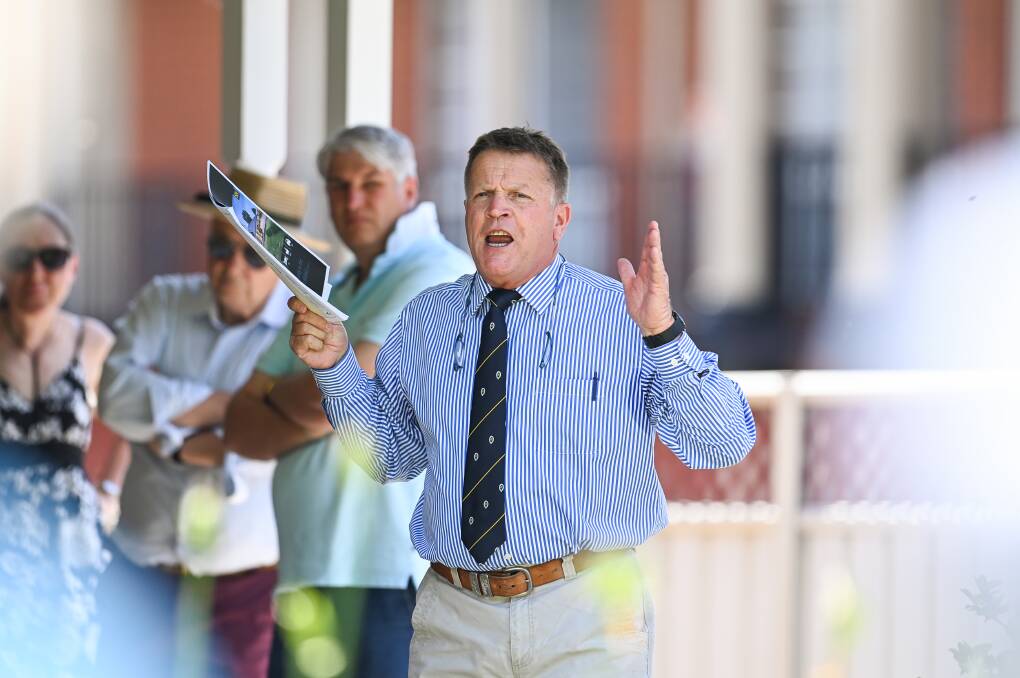 AUCTIONEER: Stean Nicholls director Geoff Stean conducted the auction, with more than 50 people in the crowd. Picture: MARK JESSER