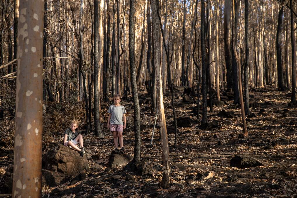 The Eddy children in the bush behind their home. Picture: Marina Neil