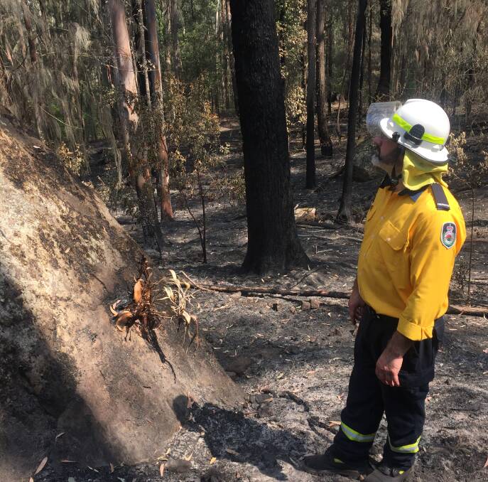 Volunteer firefighter Martin Zarka looks at the scorched rock orchids. Picture: Scott Bevan