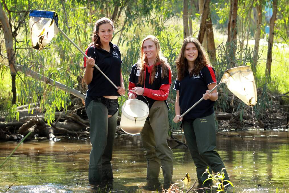 Border students Lauren Calleja, Regan Mitchelson and Teisha Clark get in some field work at Wonga Wetlands yesterday. Picture: MATTHEW SMITHWICK