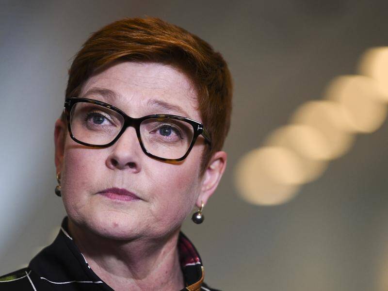 Marise Payne says China's disqualification of Hong Kong lawmakers undermines the city's democracy.