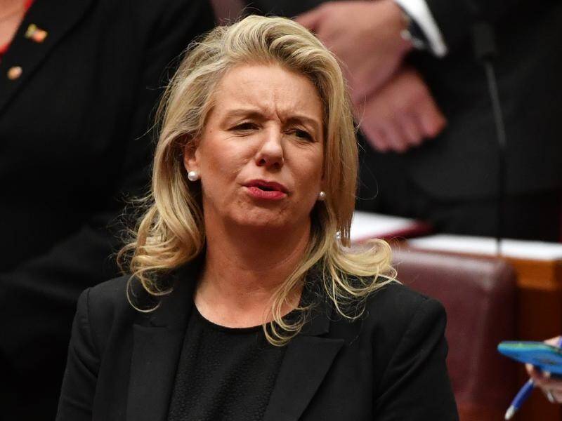 A legal expert says Bridget McKenzie may have breached the constitution with a grants program.
