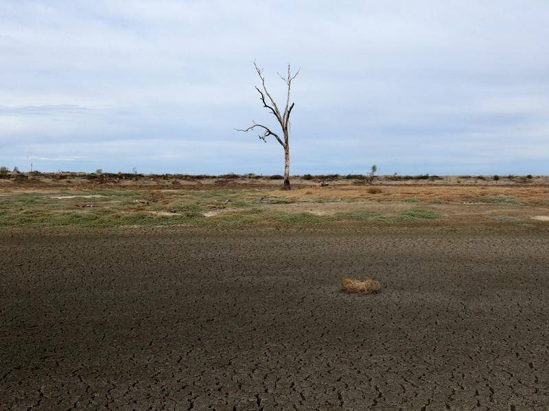 The federal and NSW governments are investing $1 billion on dams for drought-affected communities.