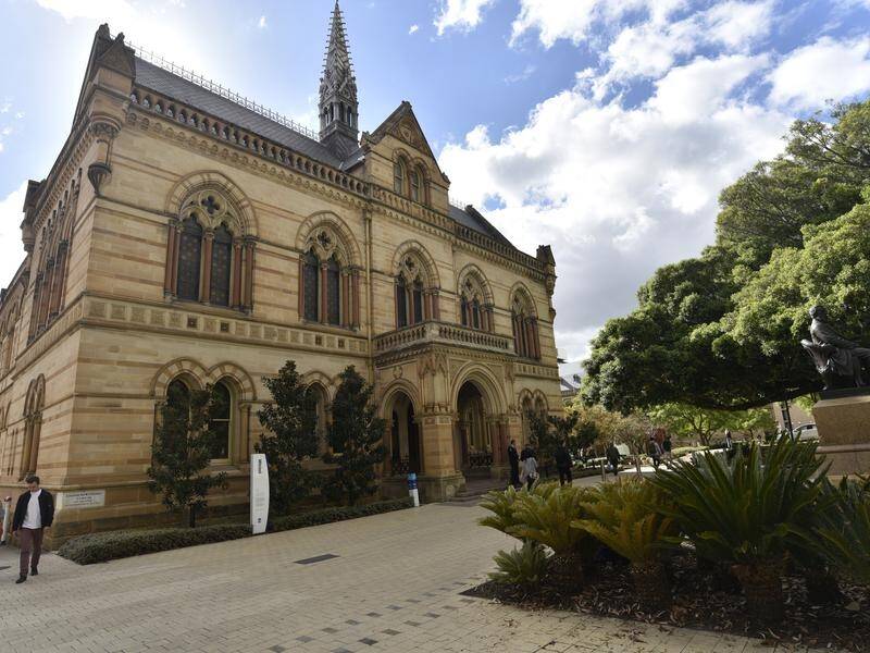 Adelaide could become a more attractive place for international students to study, the premier says.