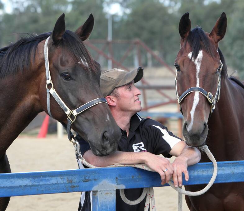 Cavanough Racing foreman Nick Ryan checks up on Niblick and Price of Glory in Albury yesterday. Picture: KYLIE ESLER
