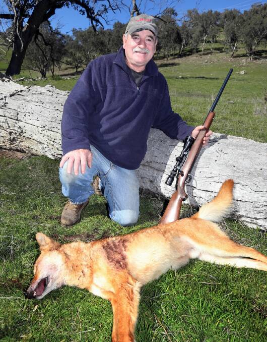 Phillip Ried has one less wild dog to worry about after shooting this one on Sunday. Picture: PETER MERKESTEYN