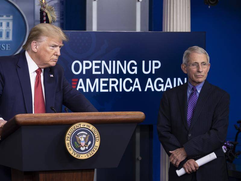 Anthony Fauci fell out of favour with Donald Trump over attempts to reopen the US economy. (AP PHOTO)