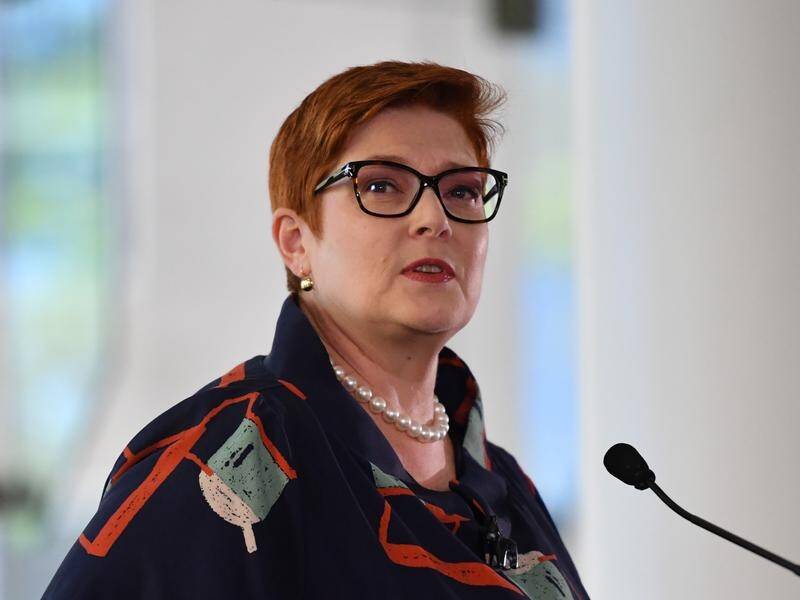Beijing's changes to Hong Kong's electoral system are concerning, Marise Payne says.