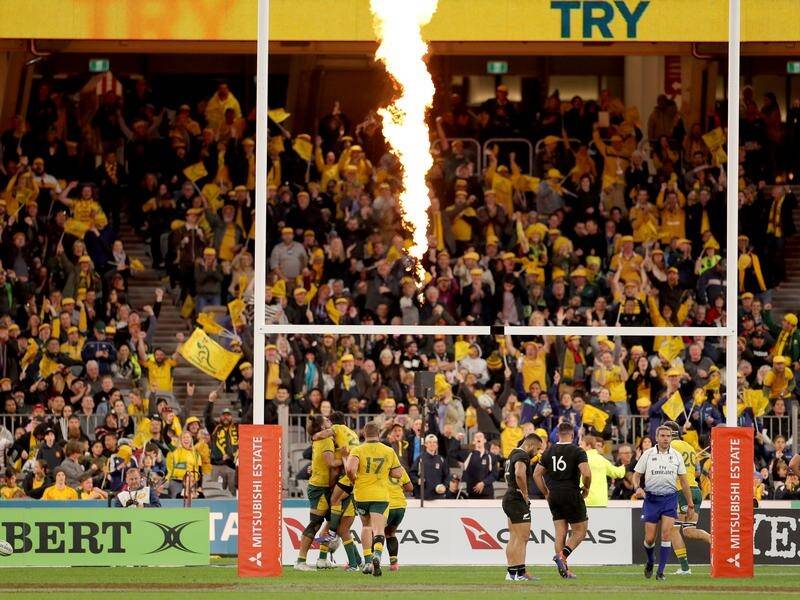 The Wallabies and All Blacks will meet twice in the four-nation Rugby Championship.