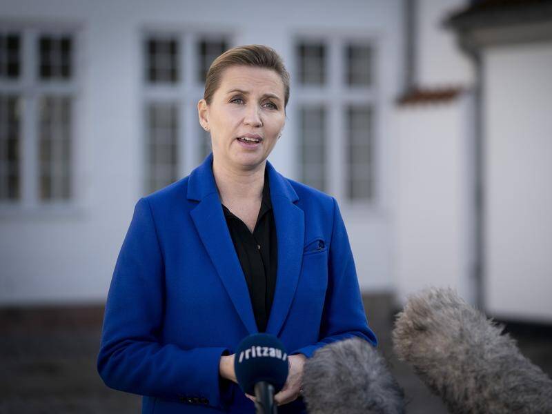 PM Mette Frederiksen says the Danish government lacked powers to order a cull of all mink.