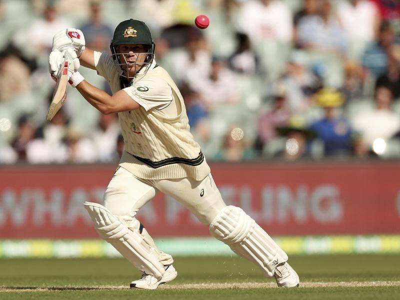 Australia's David Warner has bounced back to form on home soil after a lean Ashes campaign.