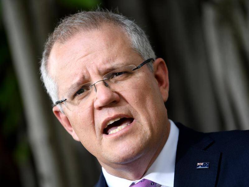 Scott Morrison says he had no part in the knifing of former prime minister Malcolm Turnbull.