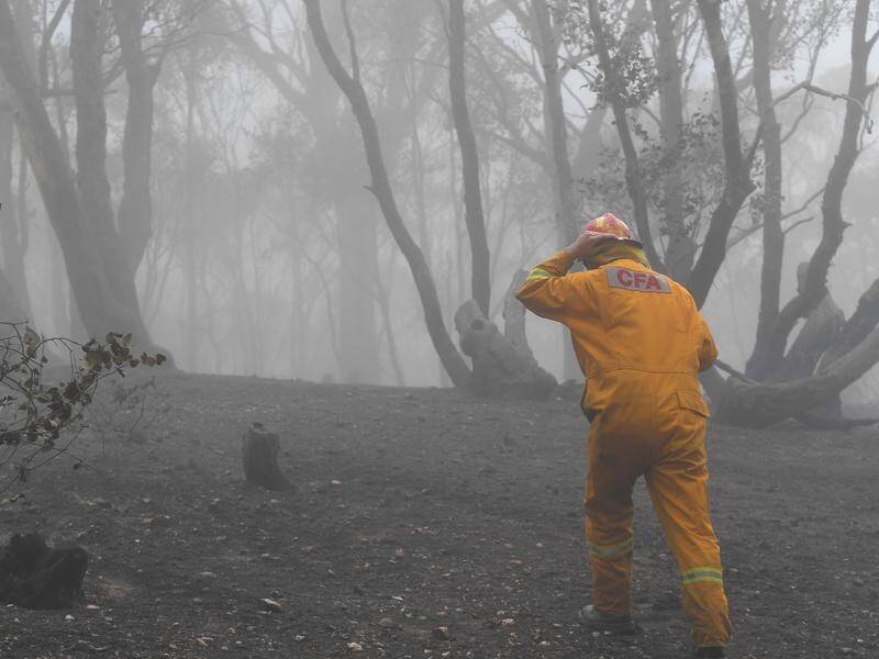 Fire crews will undertake burning out works on major fires in remote areas of northeast Victoria.