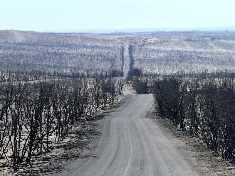Deteriorating weather on Kangaroo Island has authorities fearful of further bushfire flare-ups.