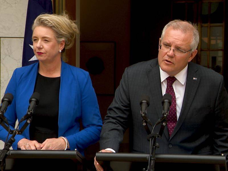 The PM defended Bridget McKenzie over her allocation of community sports grants before the election.