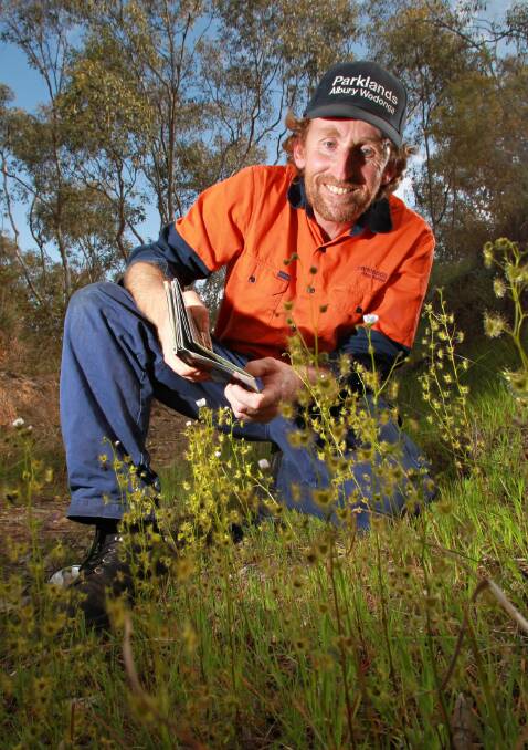 Tim Alexander looking at pale sundews on Nail Can Hill. Picture: KYLIE ESLER