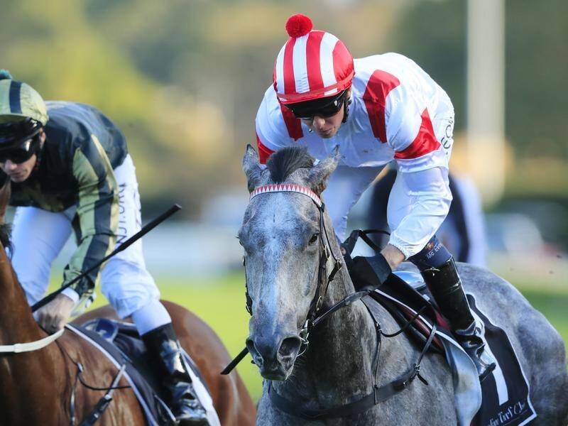 Everest hopeful Classique Legend has starred in a winter cameo to win the Bob Charley AO Stakes.