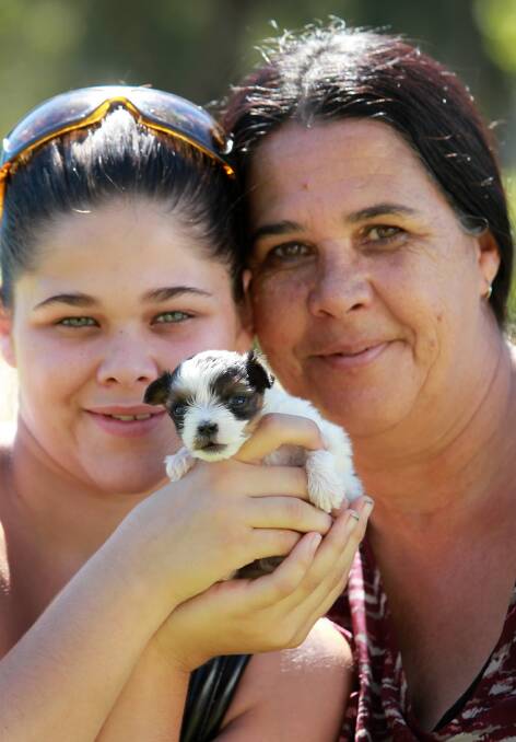 Tiny Australian-Maltese terrier cross Sasha had the undivided attention of Sara Dolder and her mother, Leona, at Wodonga’s Paws in the Park yesterday. Picture: MATTHEW SMITHWICK