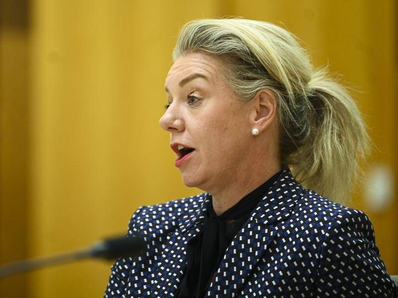 Minister for Regionalisation Bridget McKenzie wants Australia to invest more in regional cities.