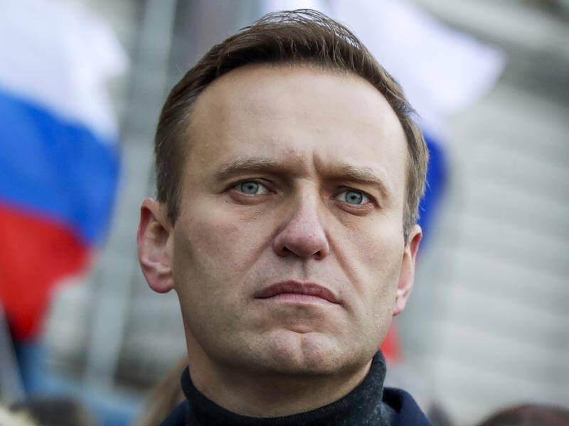 Russian opposition activist Alexei Navalny faces a mixed reception on his return to Moscow.