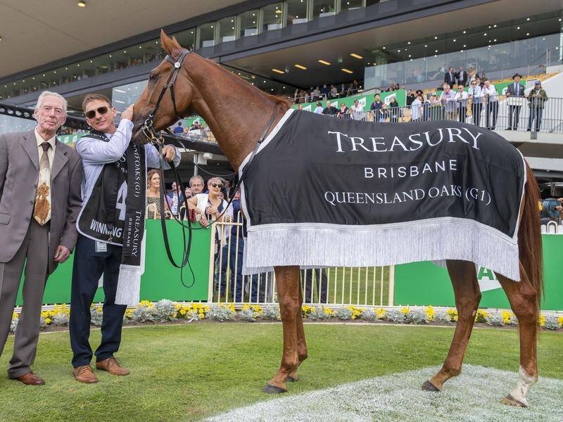 Queensland Oaks winner Winning Ways has been crowned Queensland Horse of the Year.