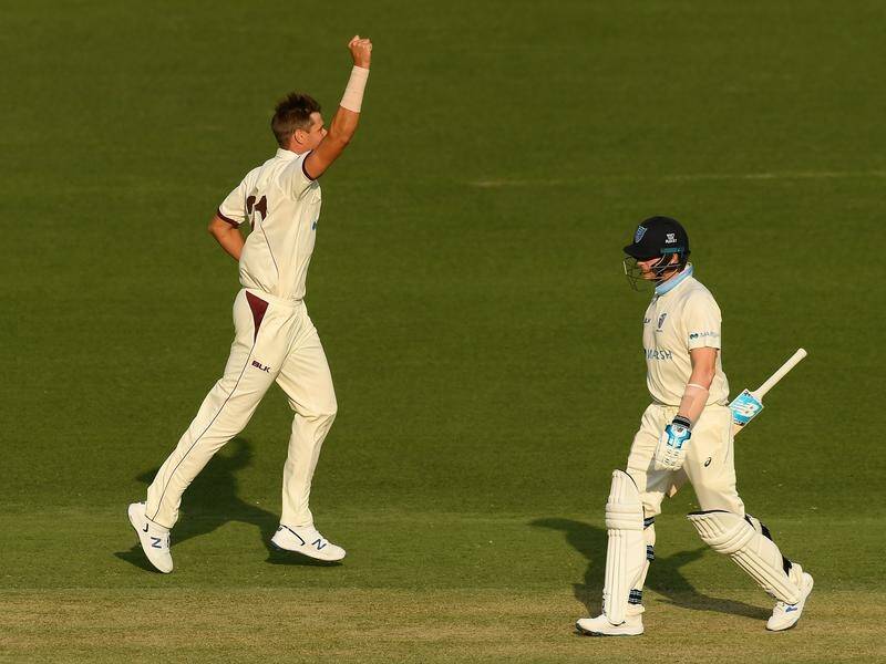 Steve Smith made a duck on his return to the Sheffield Shield for NSW against Queensland.