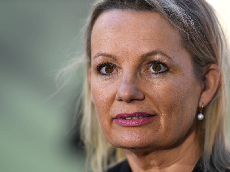 Environment Minister Sussan Ley says there will be ongoing compliance required for the Adani mine.