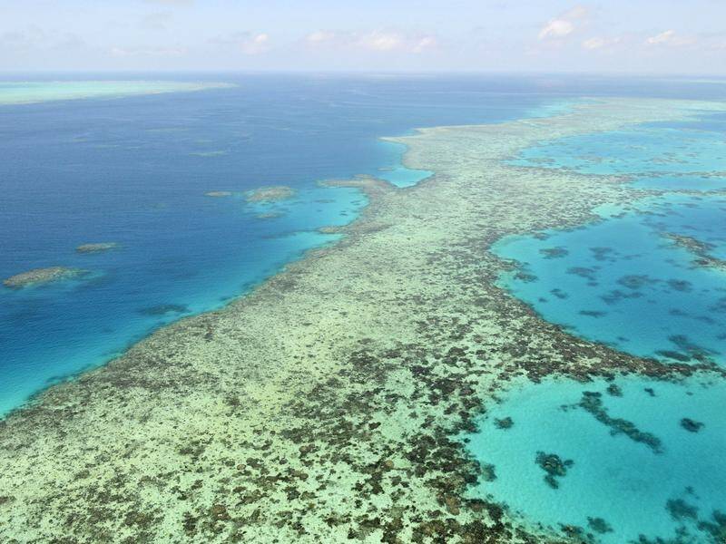 The federal government's Barrier Reef report to the UN has been dismissed by the Greens as spin.