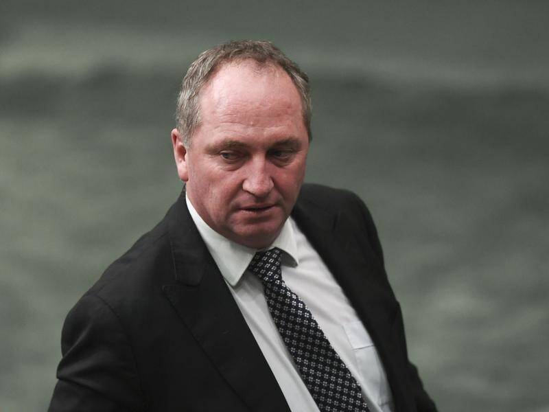 Barnaby Joyce says it should be OK for partners of federal politicians to work for MPs in Canberra.
