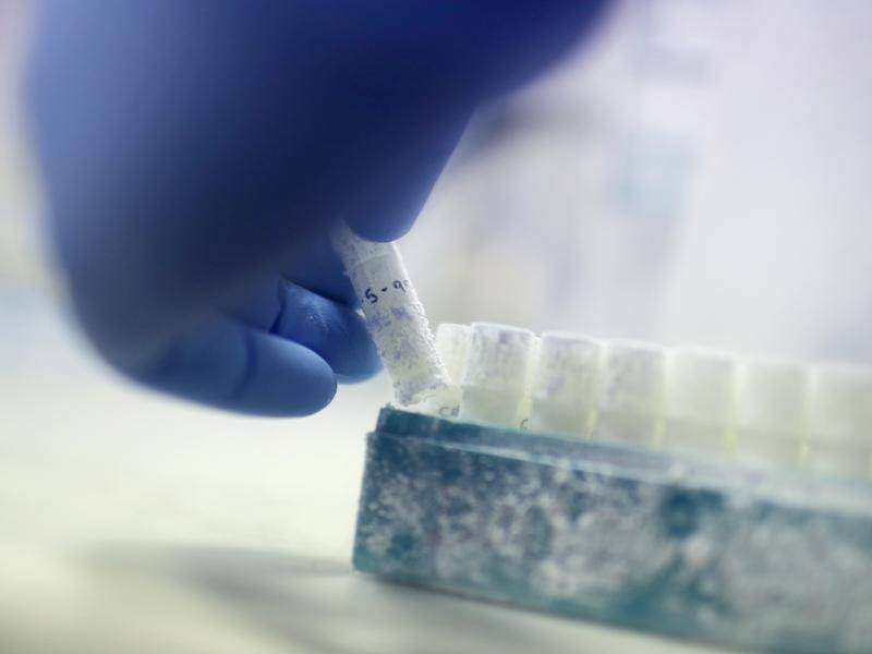 Australians using IVF will be able to claim a rebate on tests for serious genetic disorders.