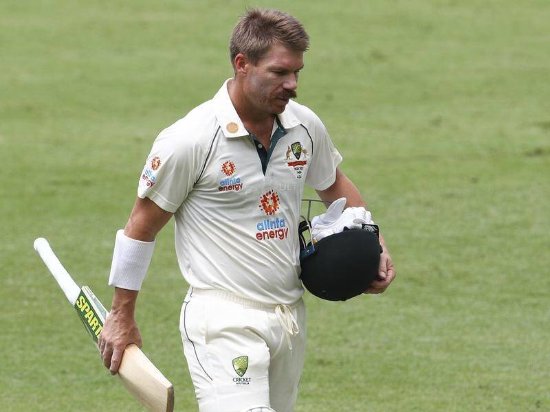 David Warner admits he came back from a groin injury too soon during the Australian summer.