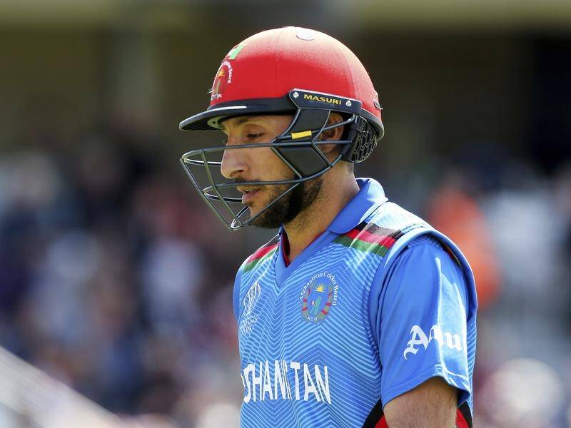 Rahmat Shah's unbeaten 103 off 109 balls saw Afghanistan home against Ireland in their second ODI.