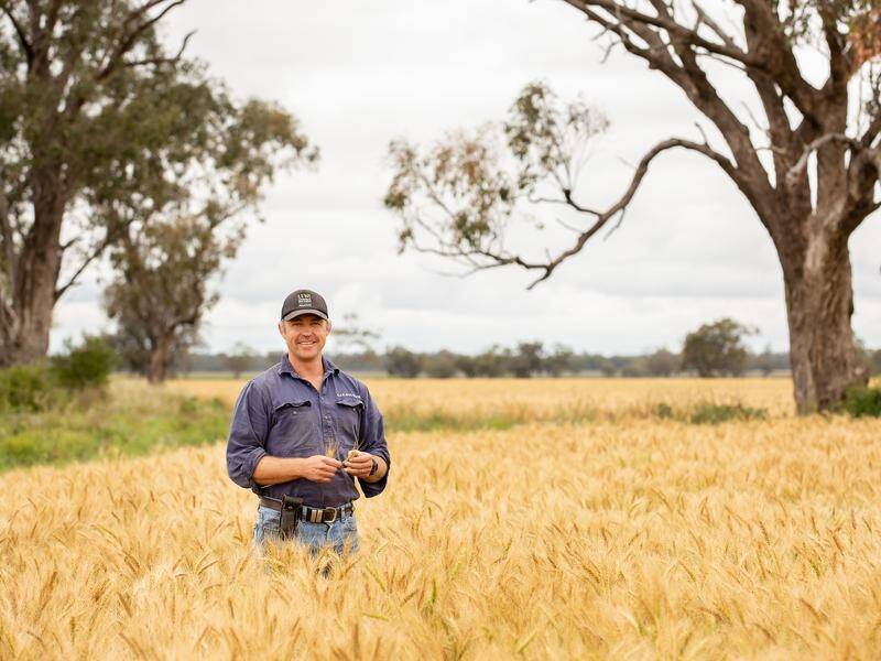 Crop farmer Oscar Pearse wants greater recognition for the agriculture sector in the emissions race.