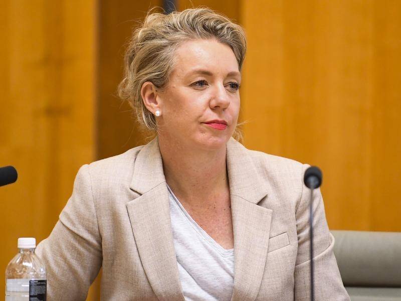 PALPABLY UNLAWFUL: Ex-NSW auditor-general Tony Harris has criticised then-sports minister and Wodonga-based Senator Bridget McKenzie for her sports grants decisions.