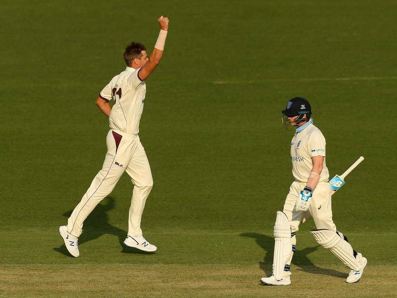 Steve Smith (r) scored a rare duck when bowled by Cameron Gannon in the NSW v Qld Shield match.