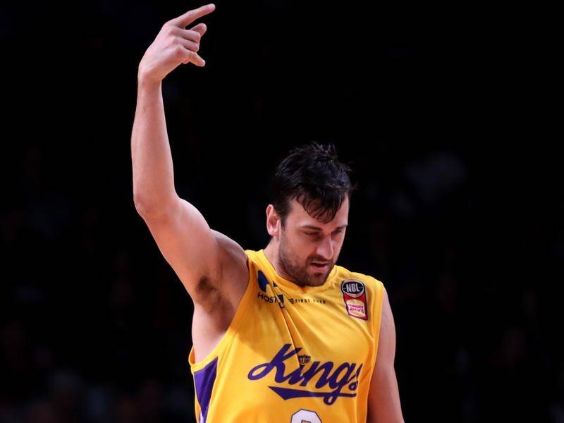 Sydney Kings centre Andrew Bogut has been backed to become an NBL force by coach Andrew Gaze.