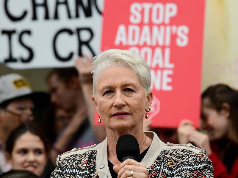 Hundreds of Dr Kerryn Phelps' posters were also stolen within a week of them being erected.