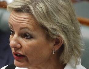 Member for Farrer and deputy Liberal Leader Sussan Ley. File picture