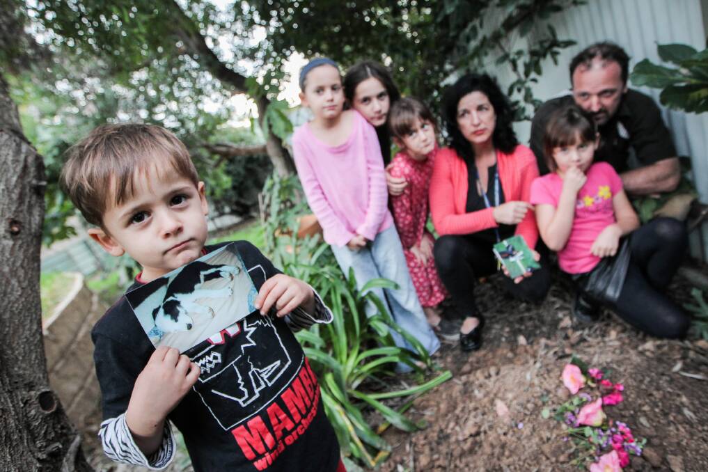 Zeke, 5, holds a picture of Billie when she was younger. Summer, 11, Melissa, 12, Christina, 10, Valerie, Ariel, 8, and Brook Ratcliff where the dog was buried. Picture: DYLAN ROBINSON