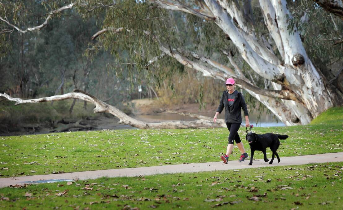 Jayne Bares, of Albury, walks her labrador Nissa, through Noreuil Park, which will form part of the new trail. Picture: TARA GOONAN