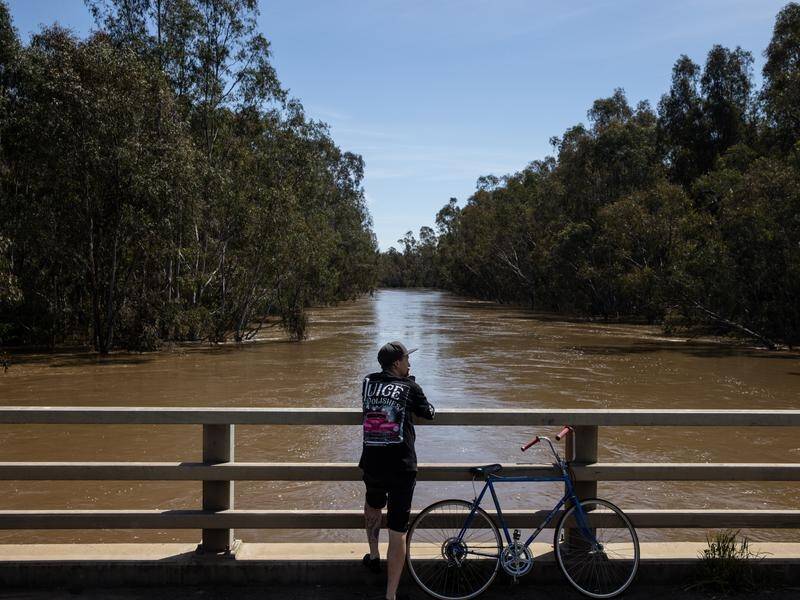 Alerts and warnings remain in place in Victoria where a major downpour is expected on Sunday. (Diego Fedele/AAP PHOTOS)
