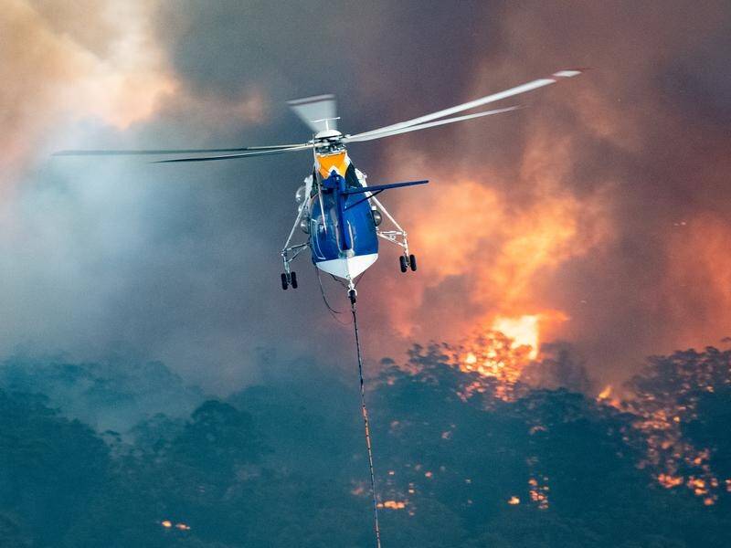 Shane Fitzsimmons says a set budget is needed to boost the national aerial firefighting fleet.