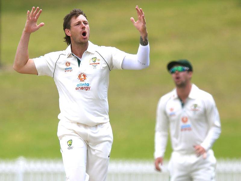 James Pattinson wants to finish the Sheffield Shield season with a bang with the Ashes in mind.