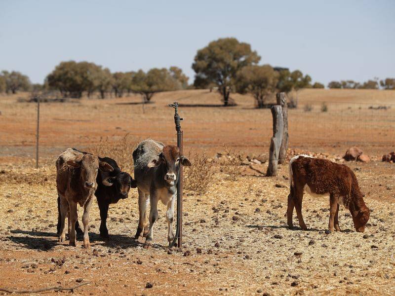 PM Scott Morrison will be in Queensland on Friday to announce drought support funding.