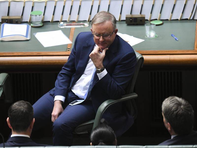 Anthony Albanese accuses the government of having no ideas other than fighting Labor.