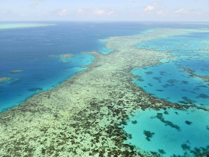 Only a small percentage of the Great Barrier Reef has escaped bleaching over the past 30 years.