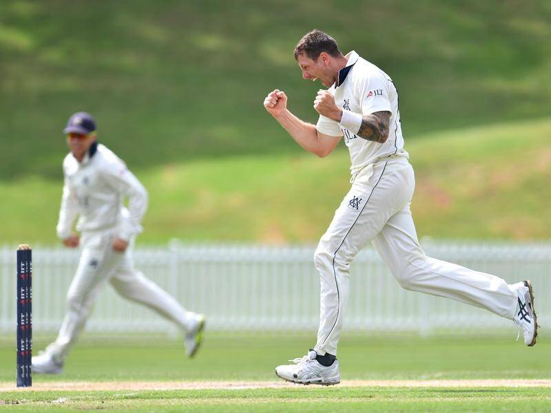 A five-wicket haul by James Pattinson helped sink NSW and elevate Victoria into the Shield final.