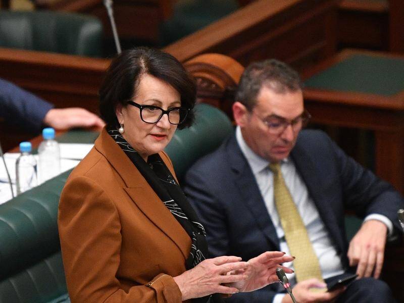 Vickie Chapman will stand aside after state parliament passed a vote of no confidence in her.
